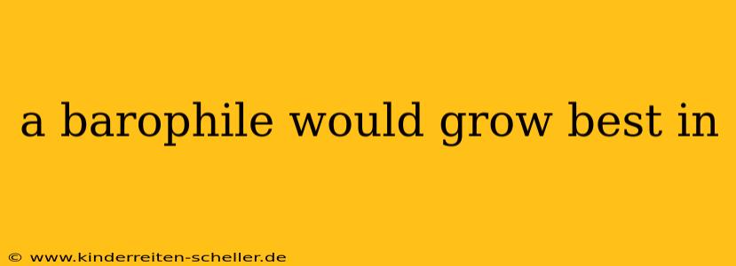 a barophile would grow best in