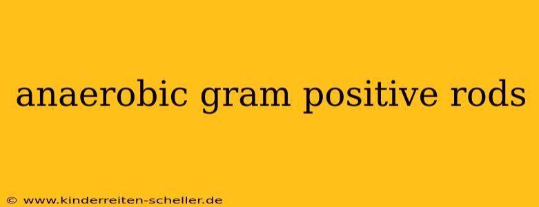 anaerobic gram positive rods