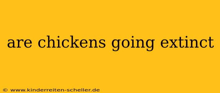 are chickens going extinct