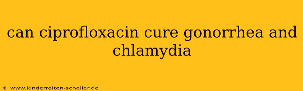 can ciprofloxacin cure gonorrhea and chlamydia