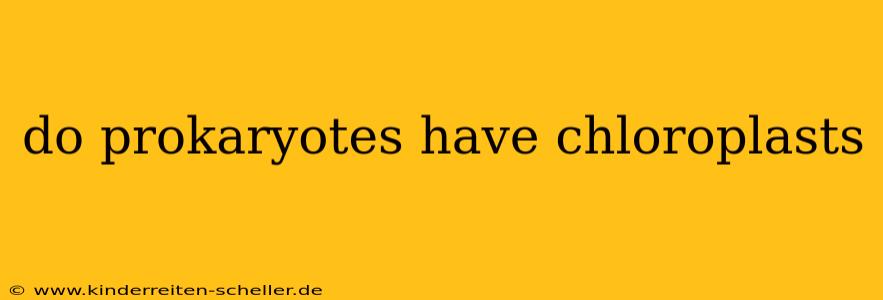 do prokaryotes have chloroplasts