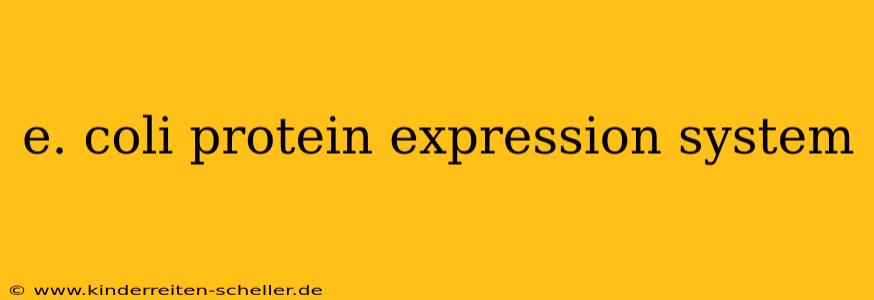 e. coli protein expression system