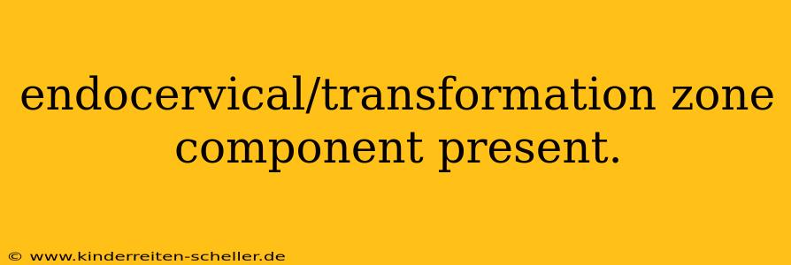 endocervical/transformation zone component present.