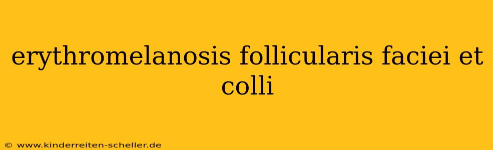 erythromelanosis follicularis faciei et colli