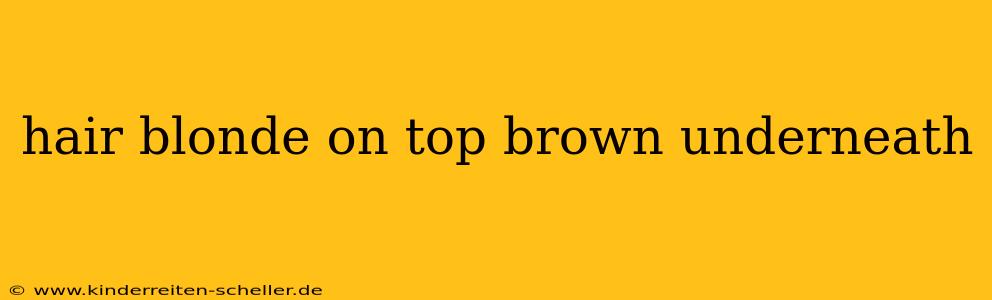 hair blonde on top brown underneath
