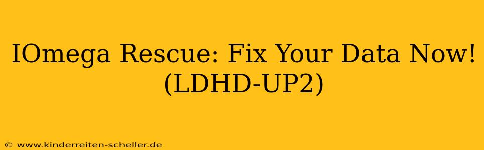 IOmega Rescue: Fix Your Data Now! (LDHD-UP2)