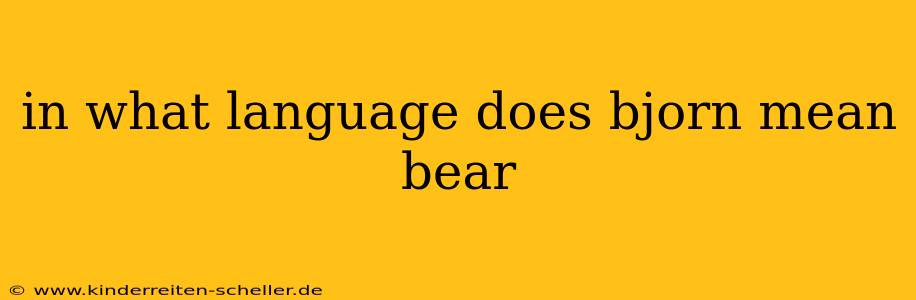 in what language does bjorn mean bear