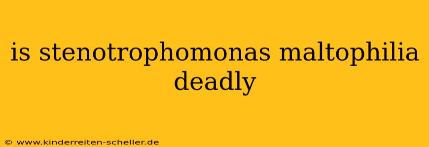 is stenotrophomonas maltophilia deadly
