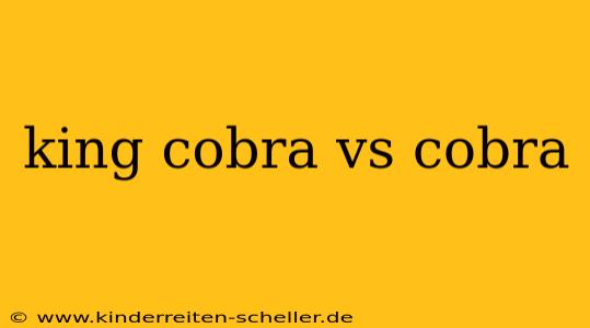 king cobra vs cobra