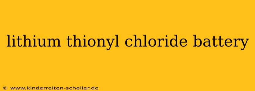 lithium thionyl chloride battery