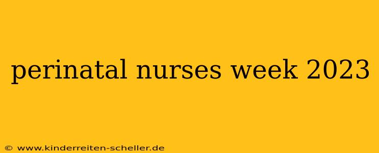 perinatal nurses week 2023