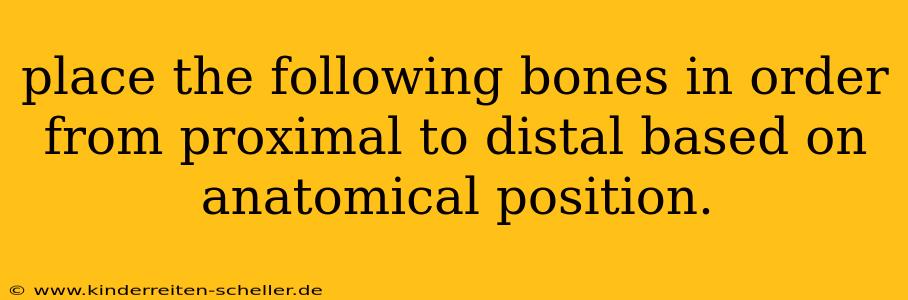 place the following bones in order from proximal to distal based on anatomical position.