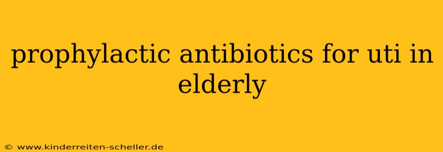 prophylactic antibiotics for uti in elderly