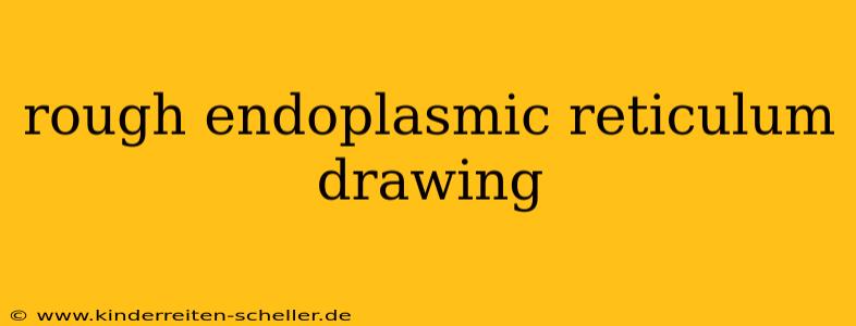 rough endoplasmic reticulum drawing