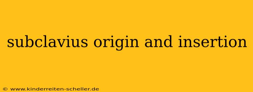 subclavius origin and insertion