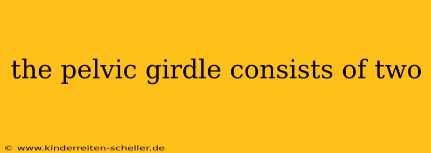 the pelvic girdle consists of two