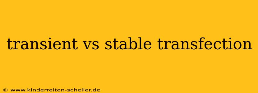 transient vs stable transfection