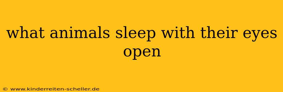 what animals sleep with their eyes open