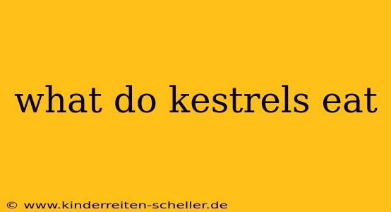 what do kestrels eat