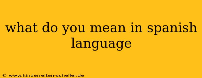 what do you mean in spanish language