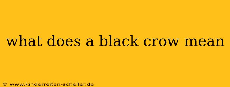 what does a black crow mean