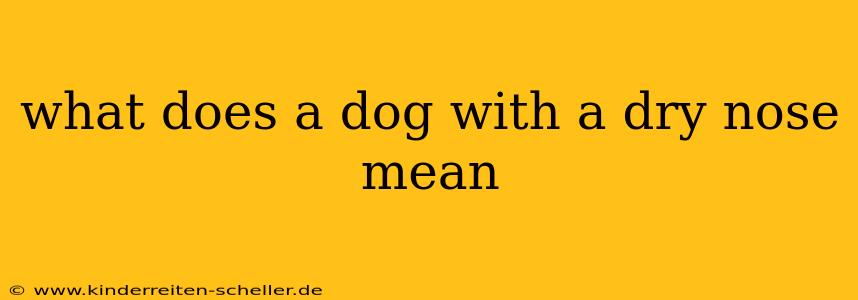 what does a dog with a dry nose mean