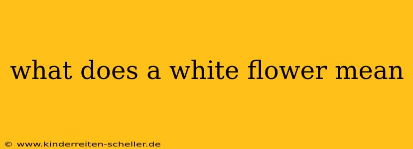 what does a white flower mean