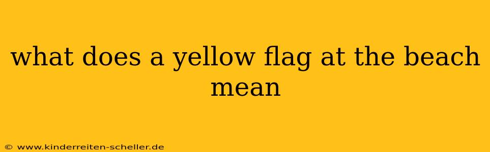 what does a yellow flag at the beach mean