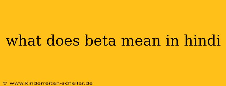 what does beta mean in hindi