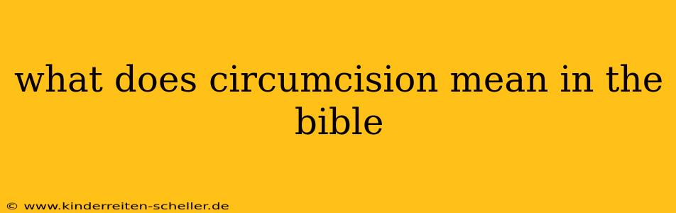 what does circumcision mean in the bible