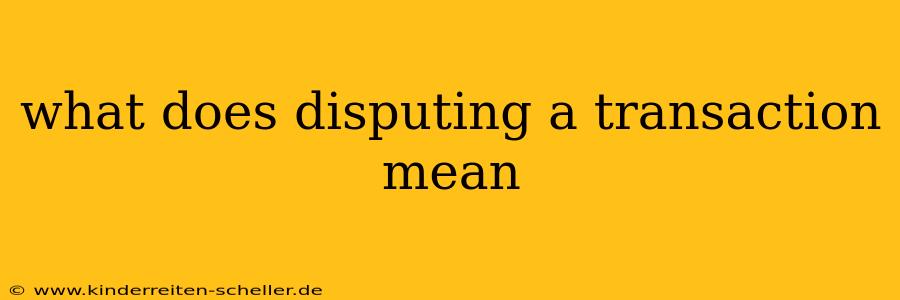 what does disputing a transaction mean