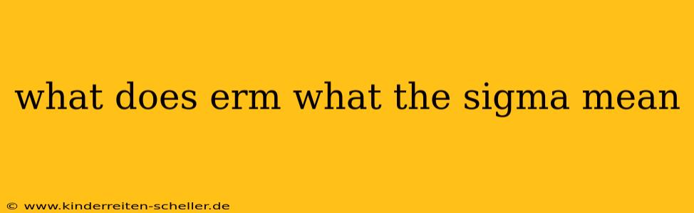 what does erm what the sigma mean