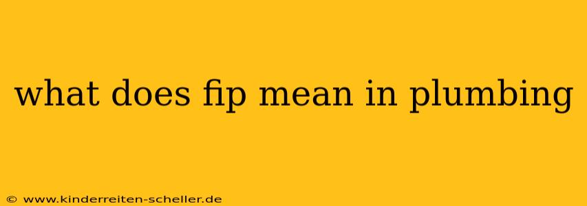what does fip mean in plumbing