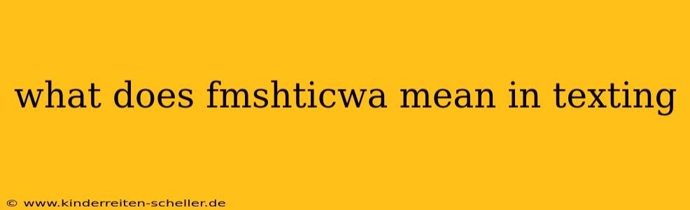 what does fmshticwa mean in texting