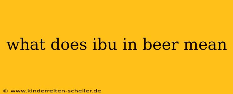 what does ibu in beer mean