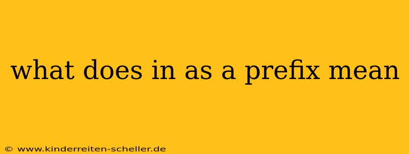what does in as a prefix mean