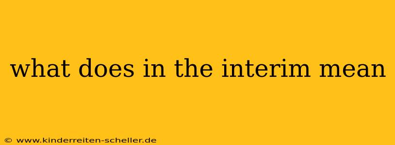 what does in the interim mean