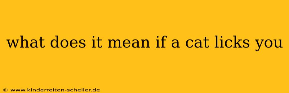 what does it mean if a cat licks you
