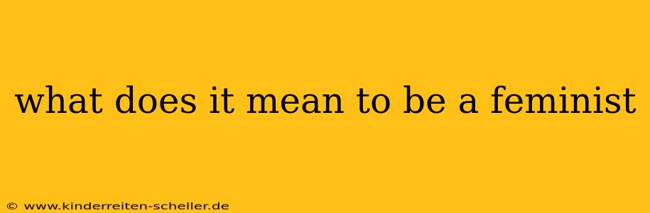 what does it mean to be a feminist
