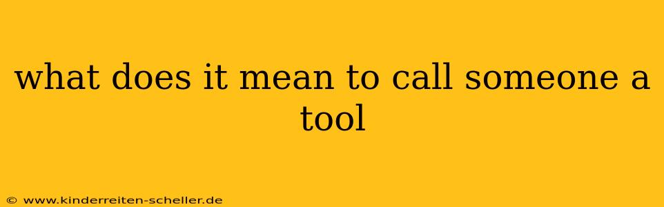 what does it mean to call someone a tool