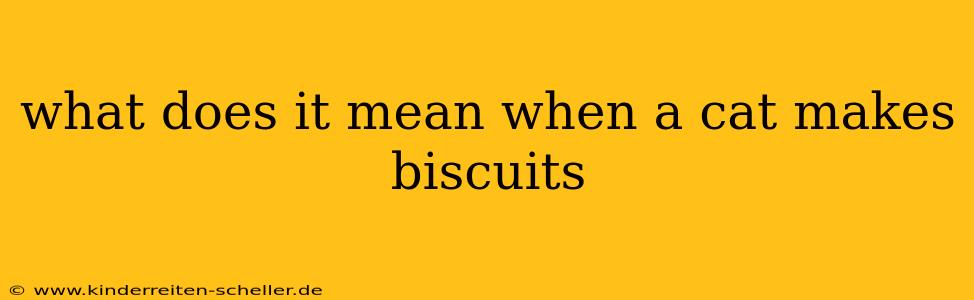 what does it mean when a cat makes biscuits