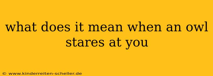 what does it mean when an owl stares at you