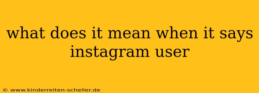 what does it mean when it says instagram user