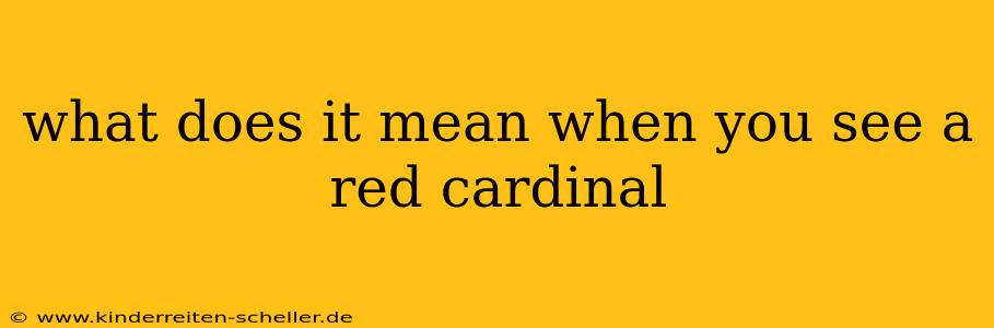 what does it mean when you see a red cardinal