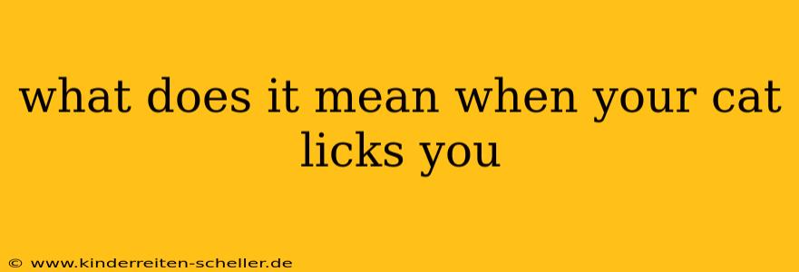 what does it mean when your cat licks you