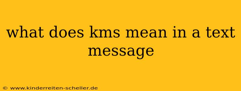 what does kms mean in a text message