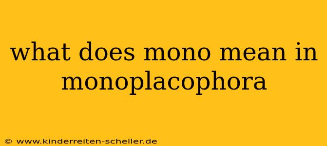 what does mono mean in monoplacophora