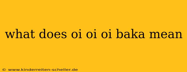 what does oi oi oi baka mean