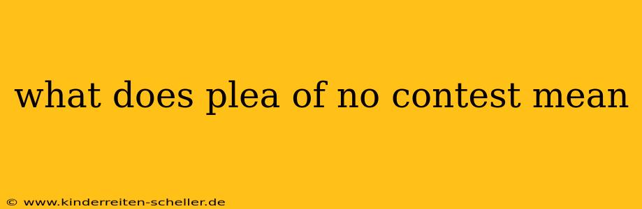 what does plea of no contest mean