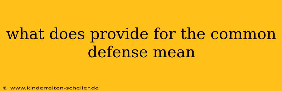 what does provide for the common defense mean